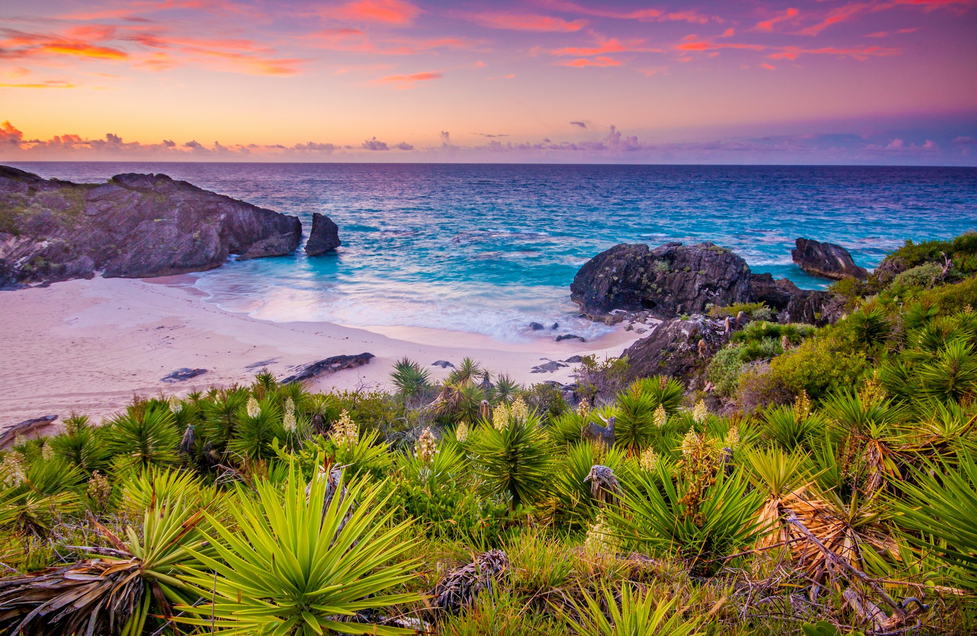 Jobson's Cove