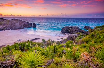 Jobson's Cove