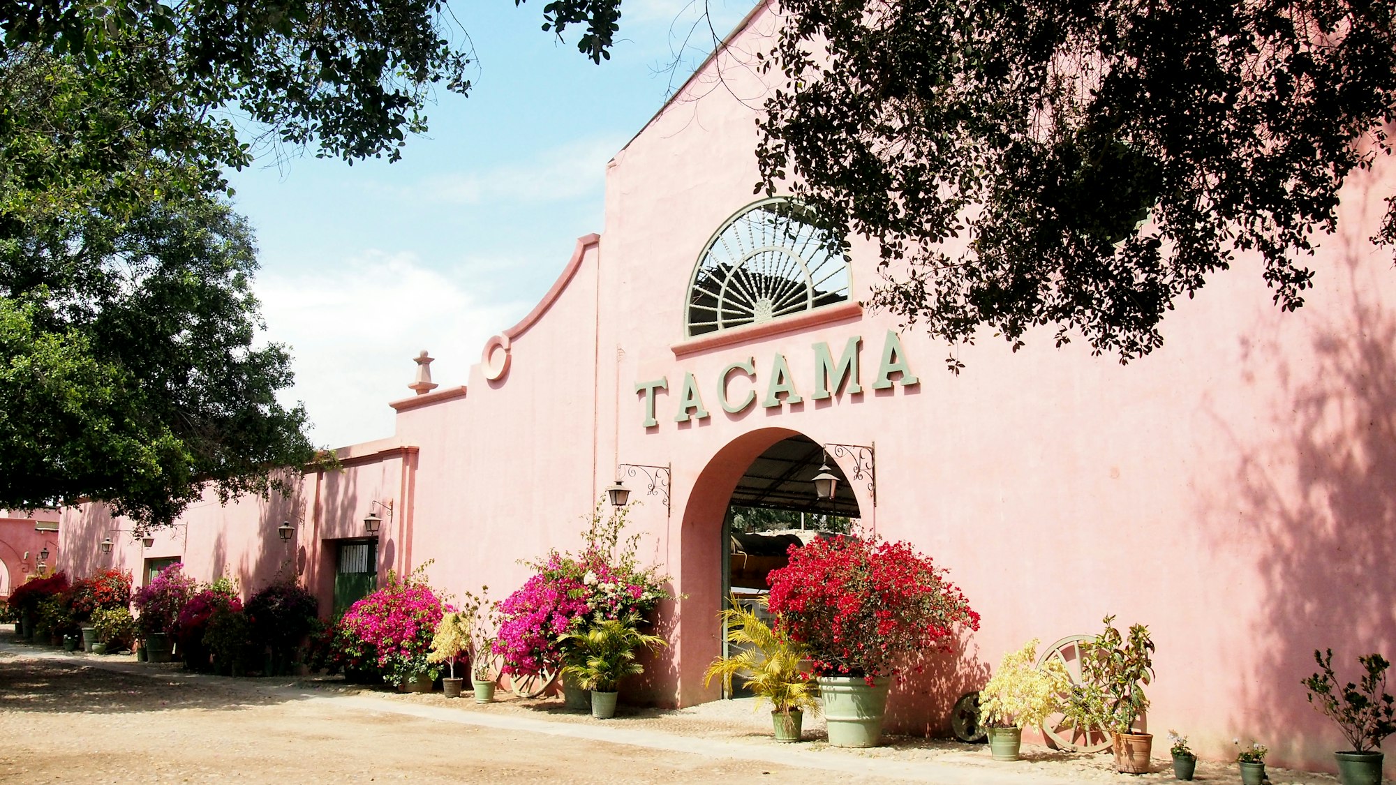 Bodega Tacama