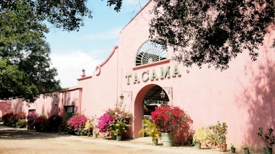 Bodega Tacama