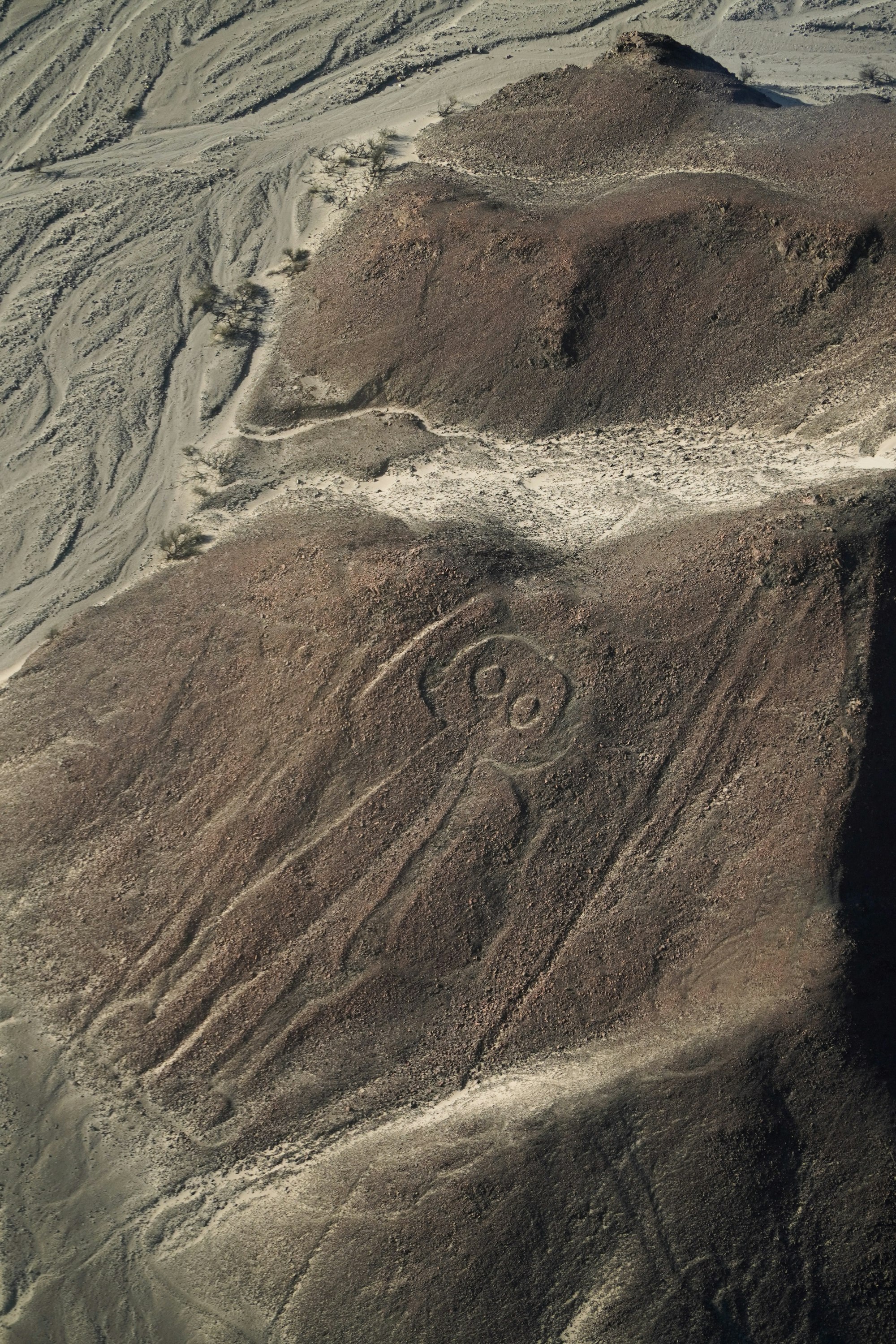 Líneas de Nazca