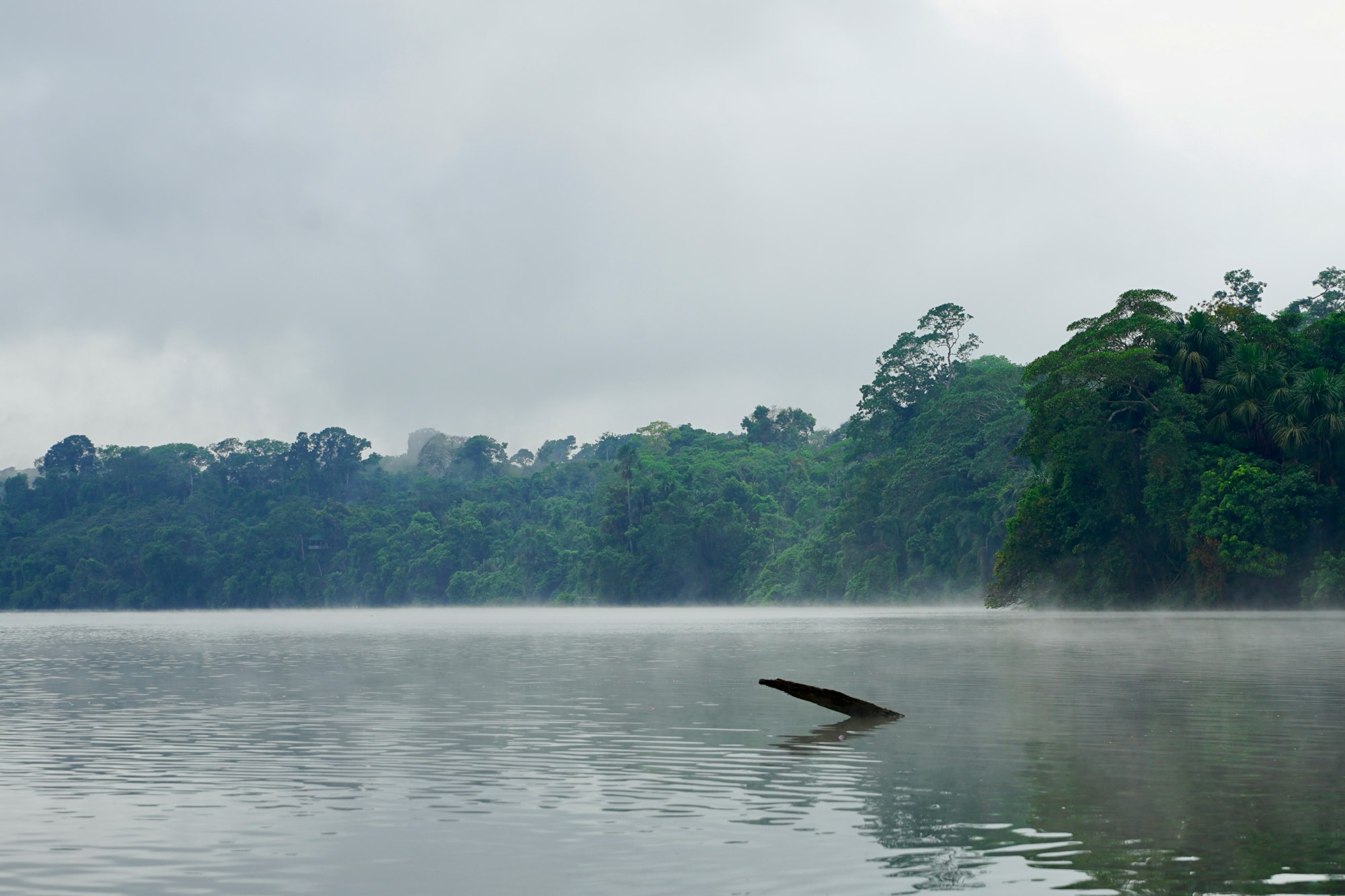 Lago Sandoval