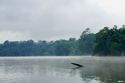 Lago Sandoval