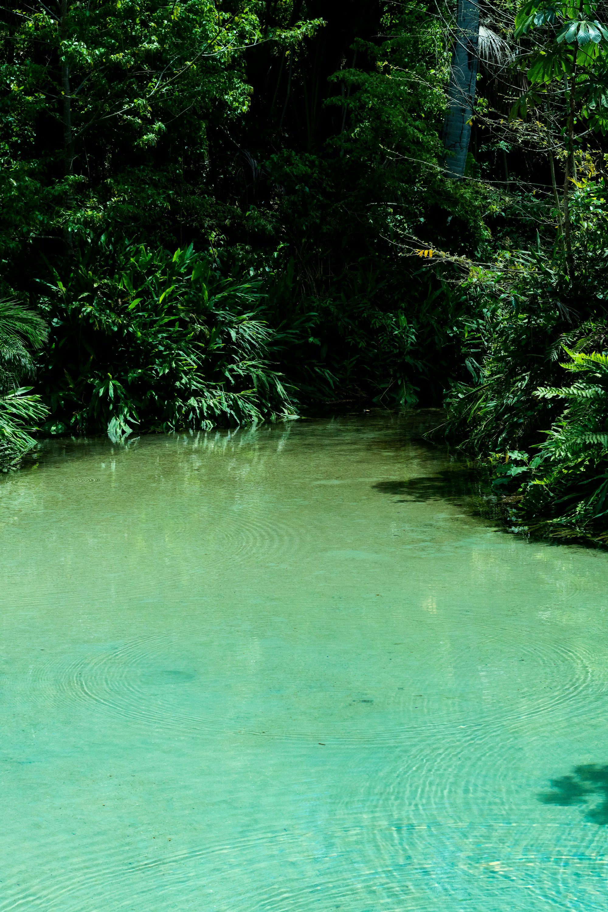 Aquário Natural