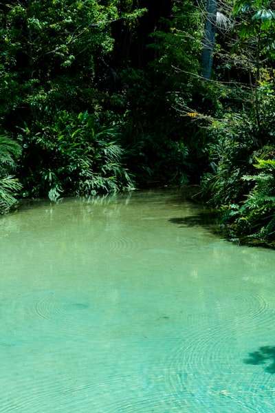 Aquário Natural