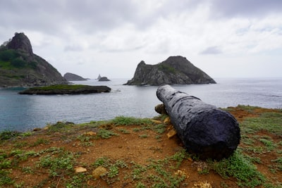 Baía dos Porcos