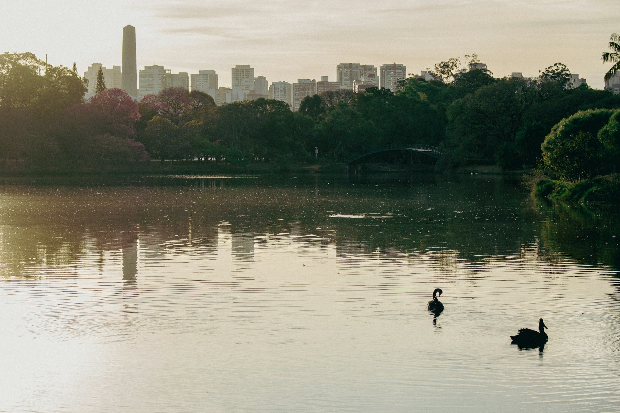 Parque Ibirapuera