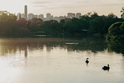 Parque Ibirapuera
