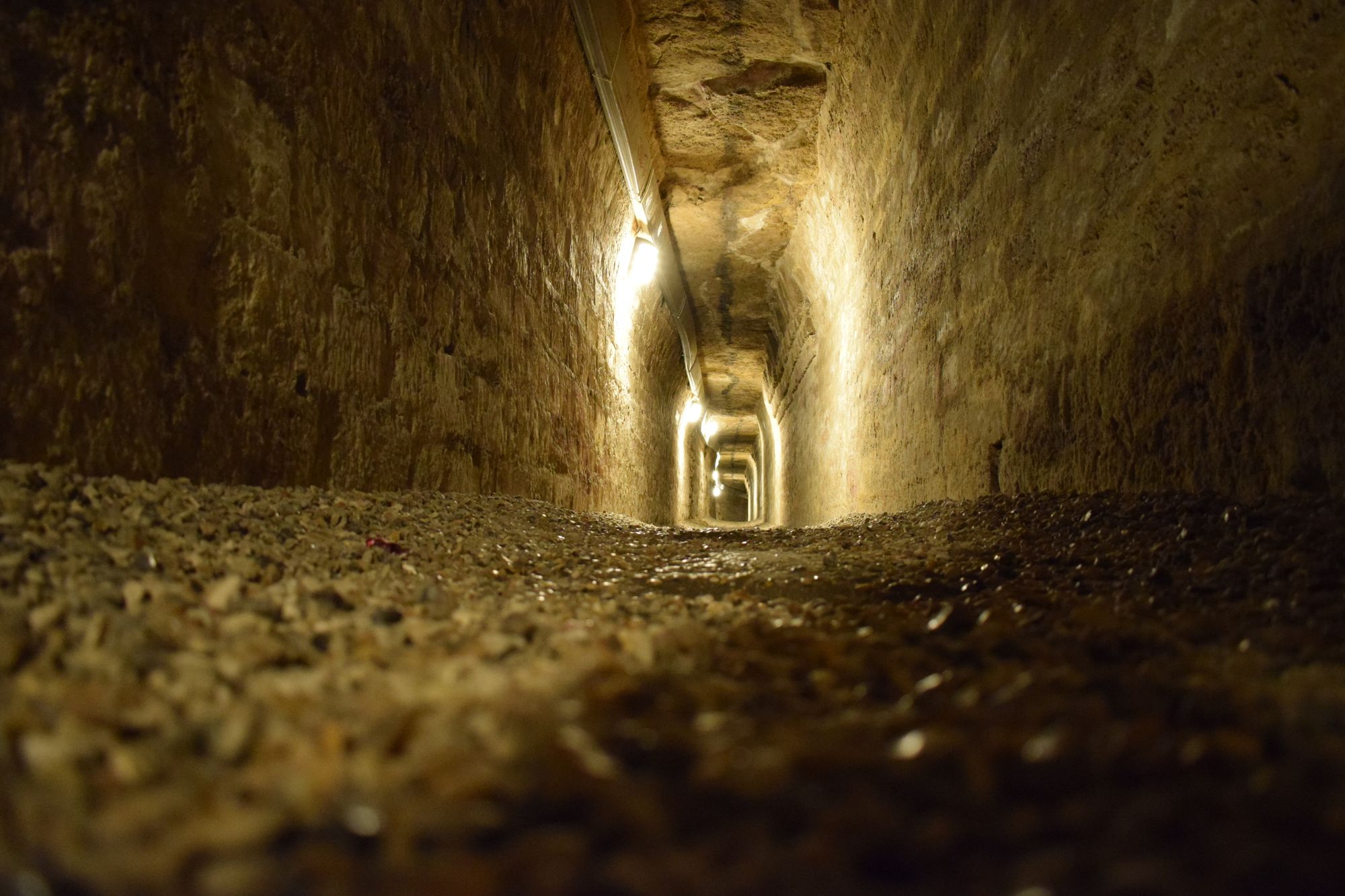 Catacombs of Paris, Paris, France