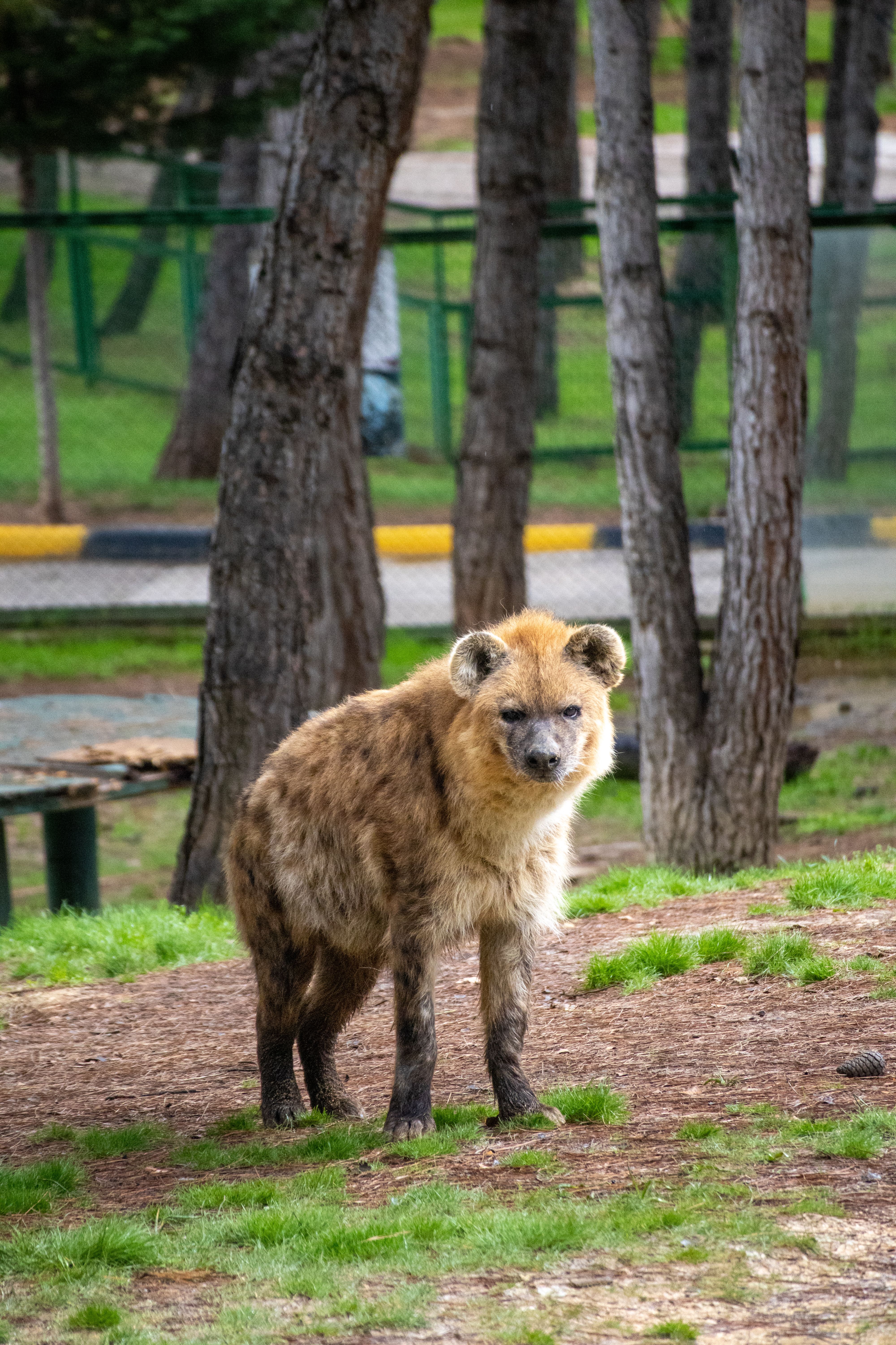 Gaziantep Zoo