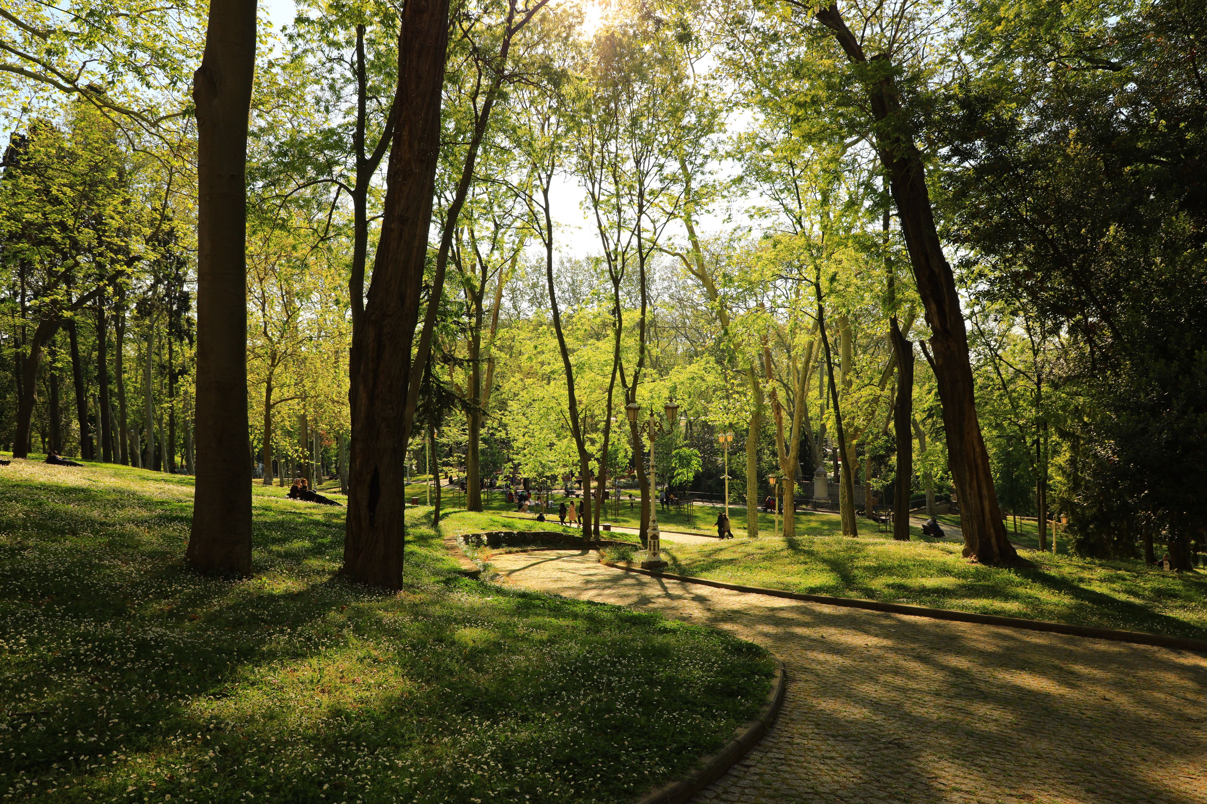 Gülhane Park