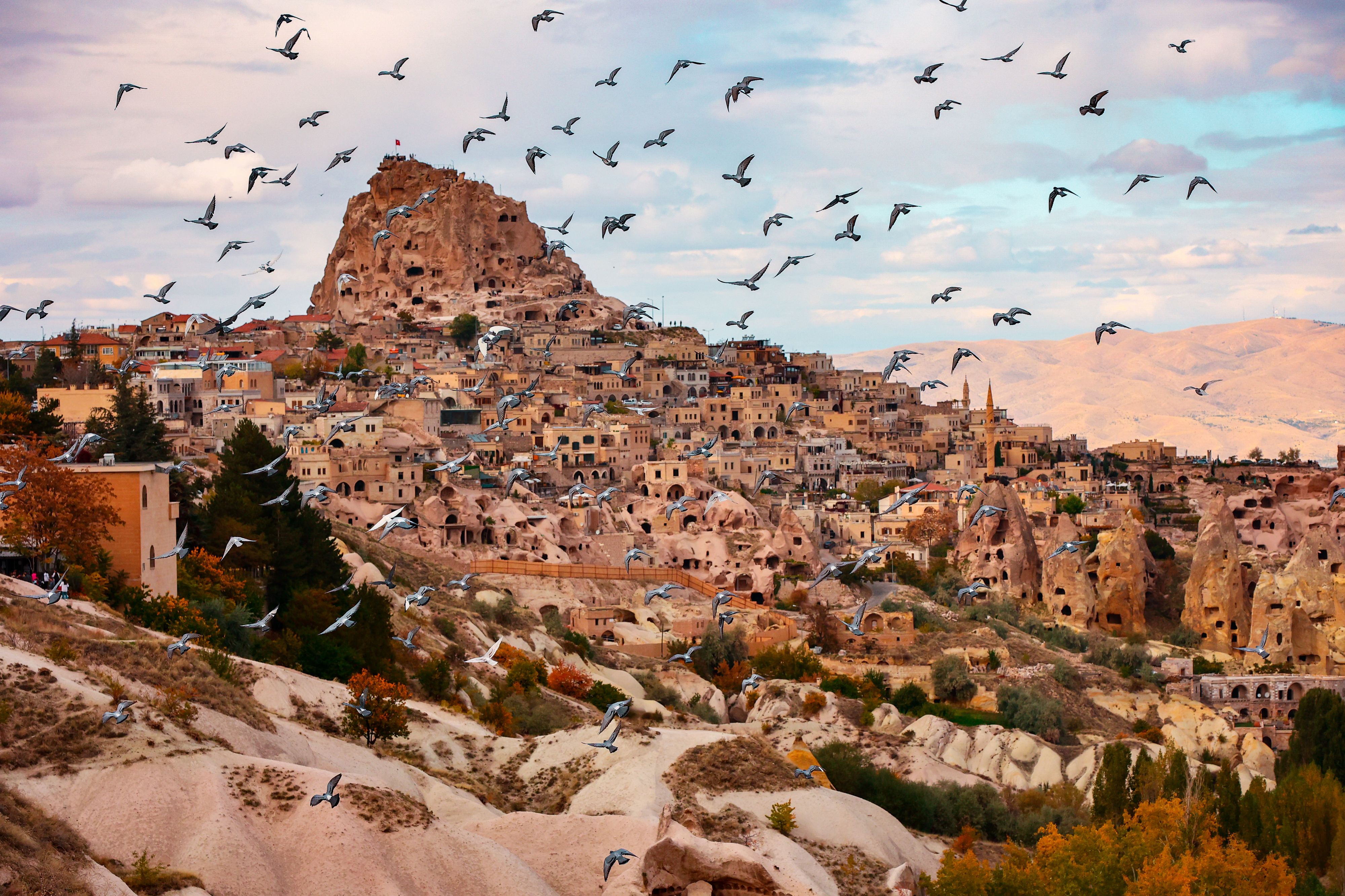Pigeon Valley