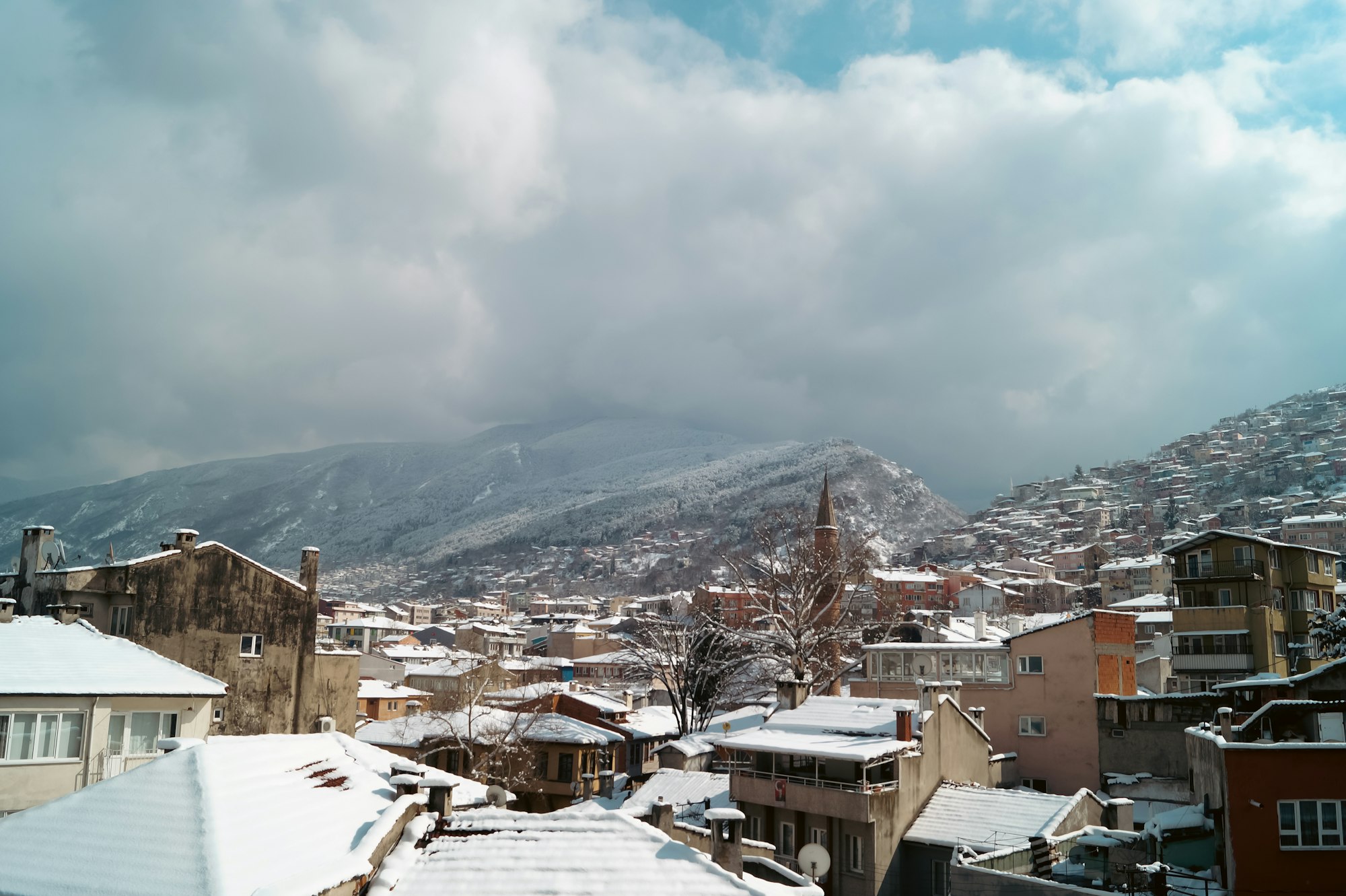 Bursa