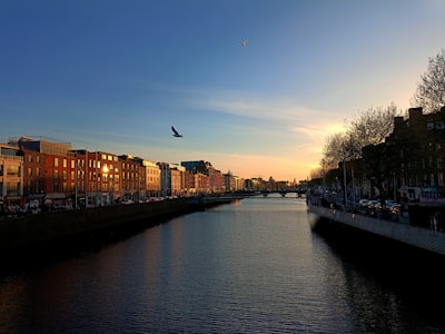Ha'penny Bridge