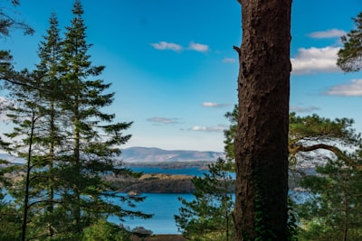 Ards Forest Park
