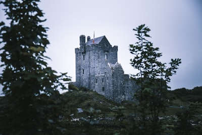 Dunguaire Castle