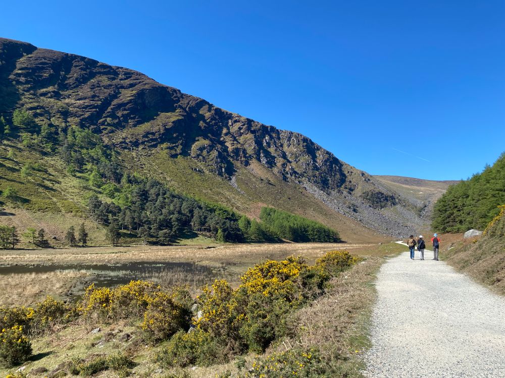 Wicklow Mountains National Park