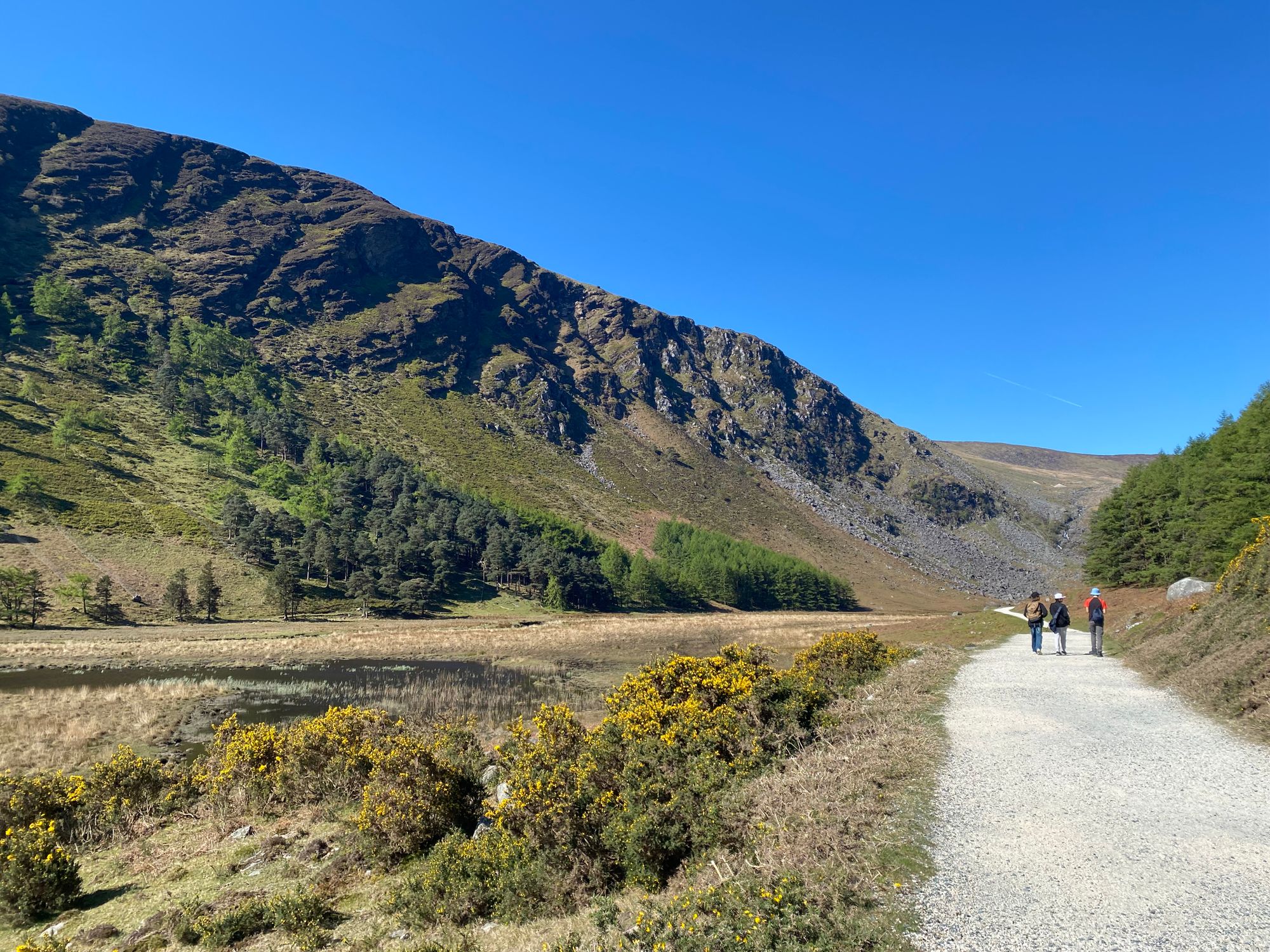 Wicklow Mountains National Park, Glendalough, Ireland