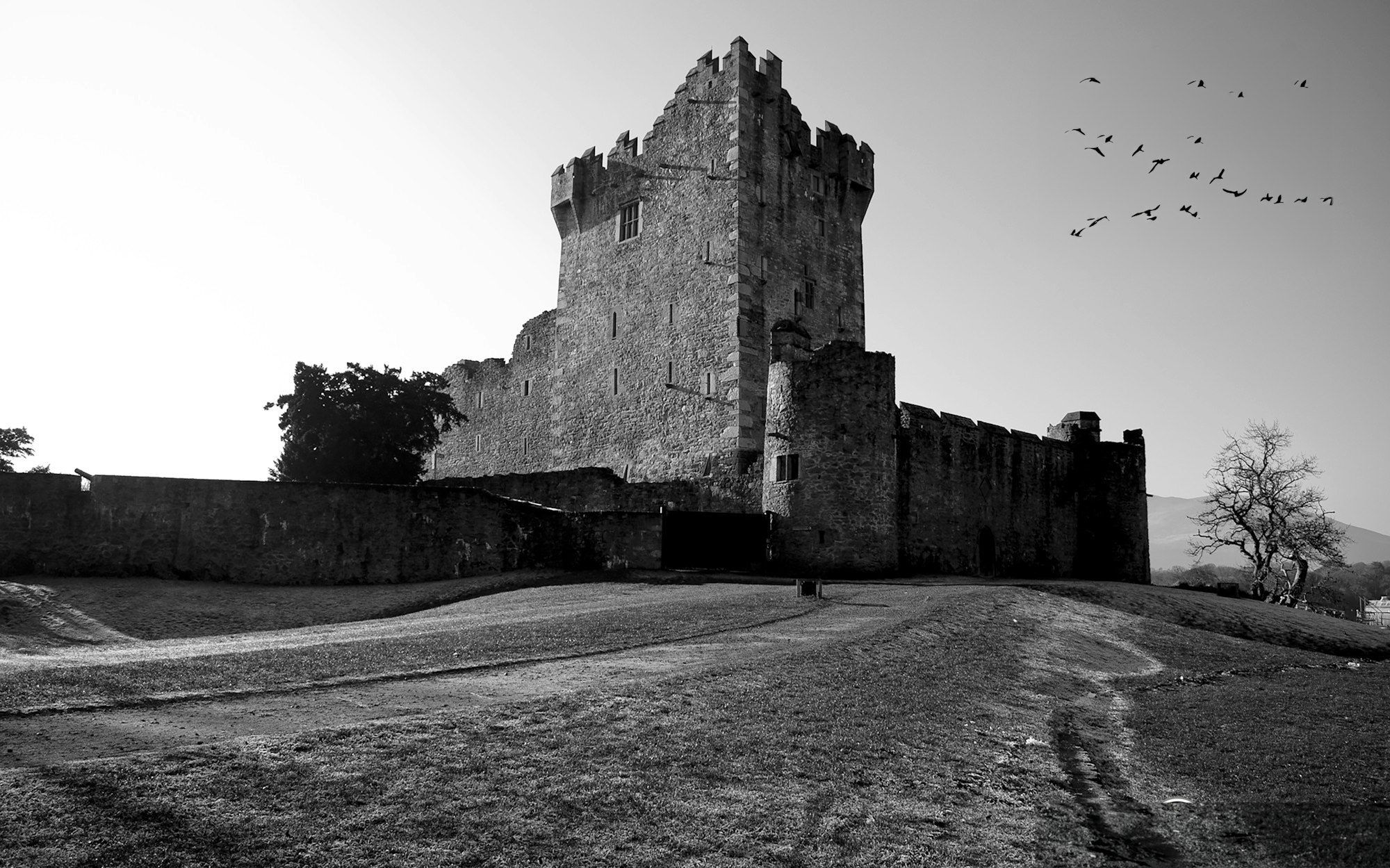 Ross Castle
