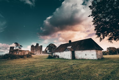 Bective Abbey