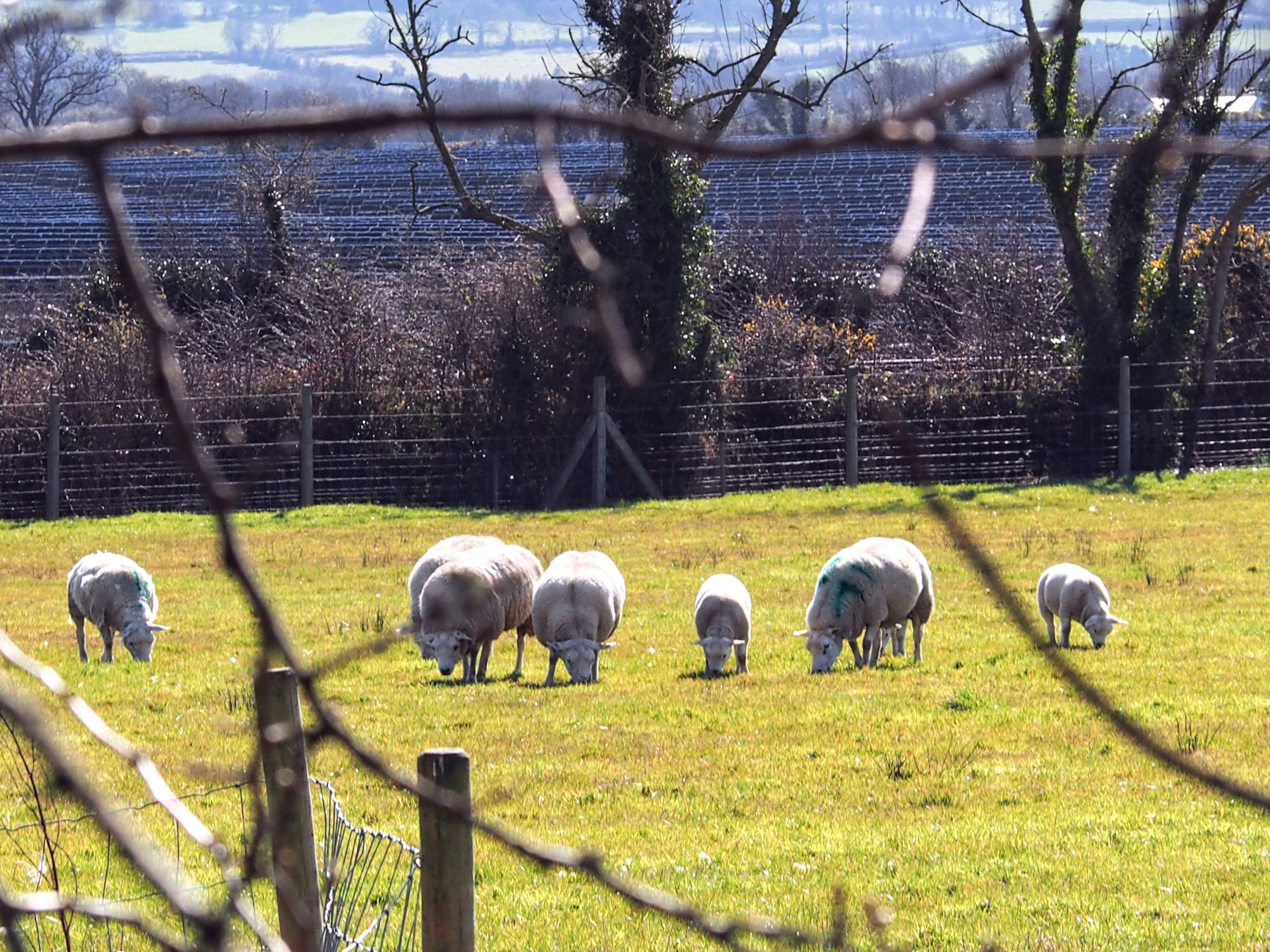 Irish National Heritage Park
