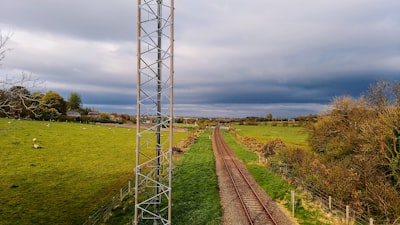 Wexford Wildfowl Reserve