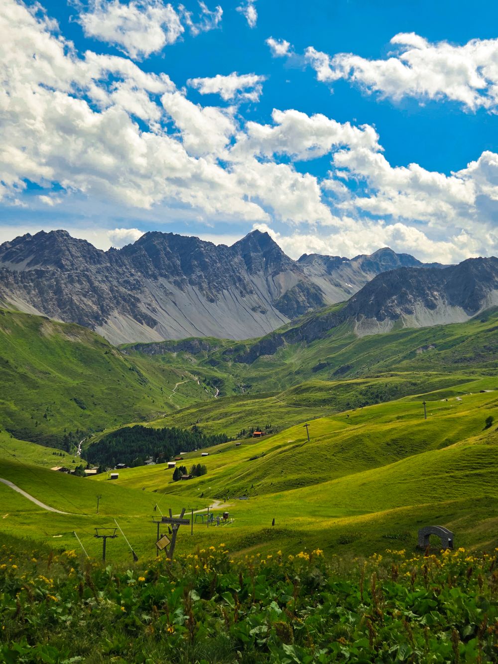 Arosa Bear Sanctuary