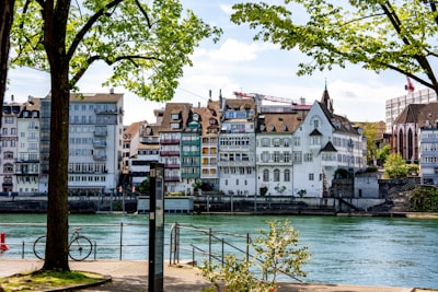 Rhine Ferries