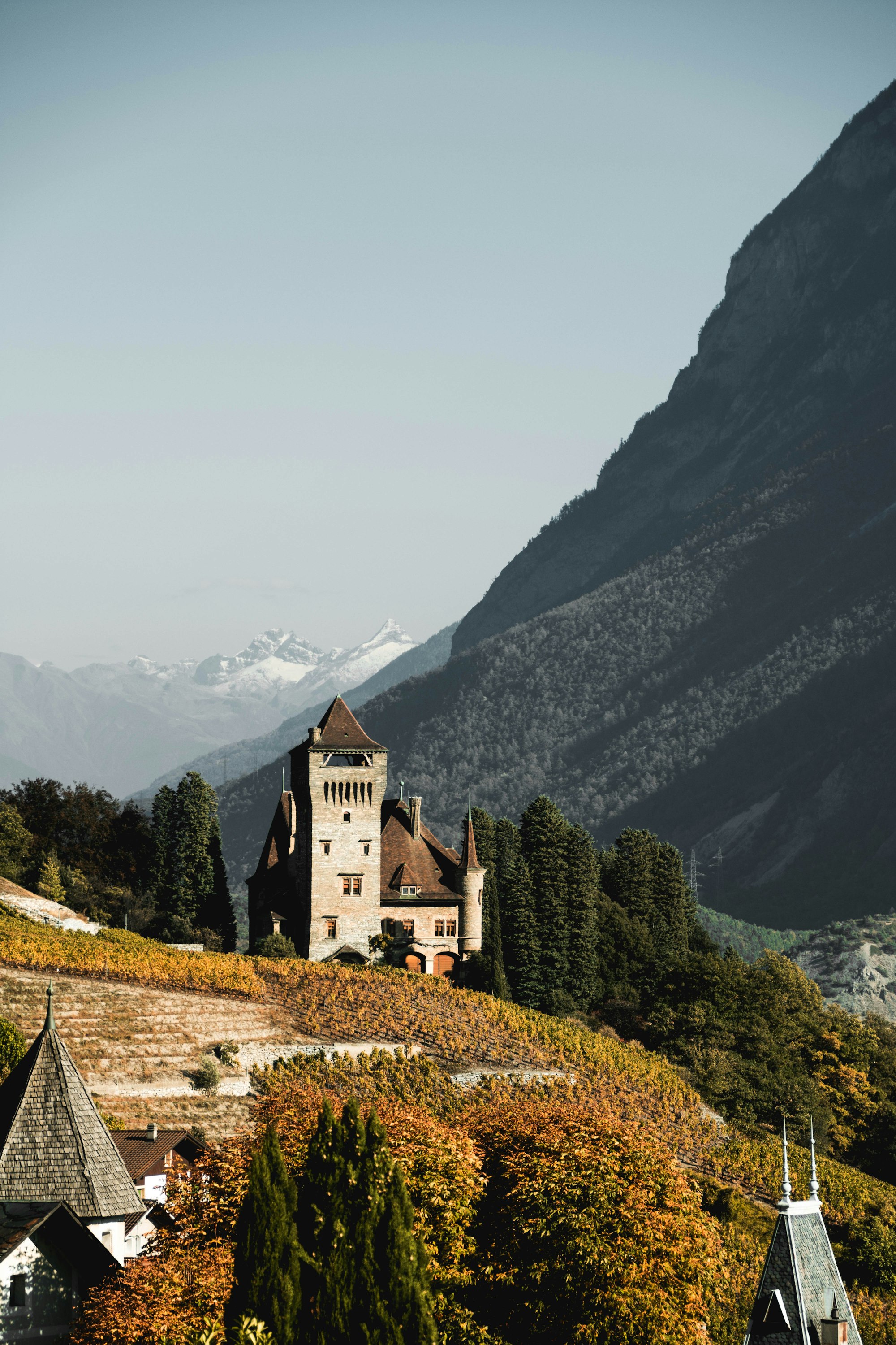 Chateau de Gruyeres