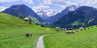 Gstaad Palace
