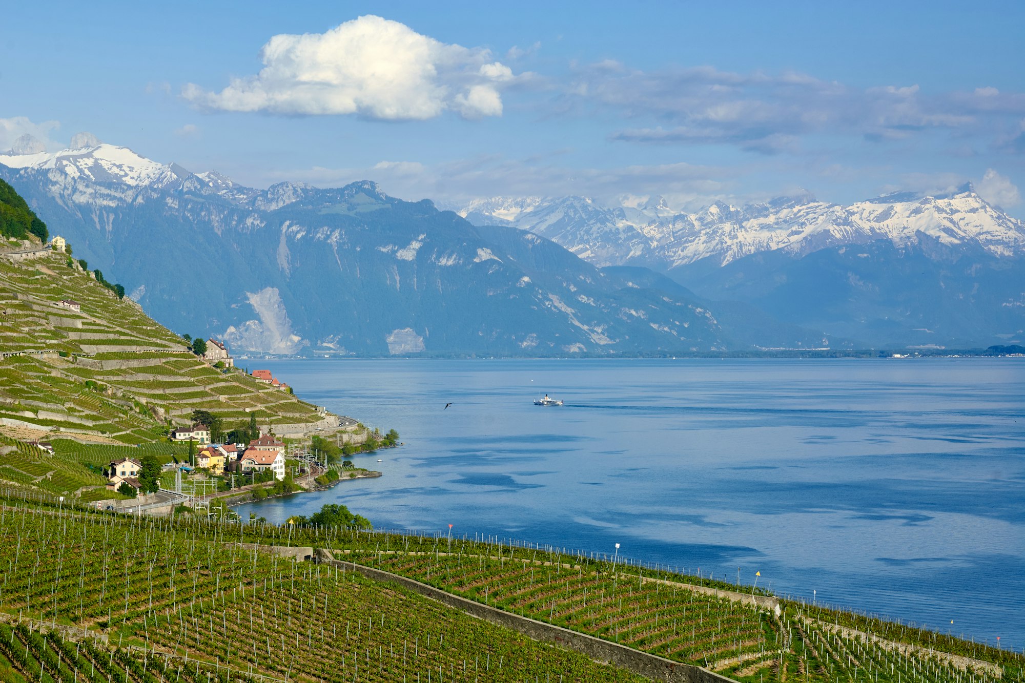 Lavaux, Lausanne, Switzerland
