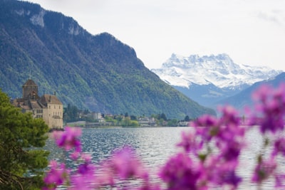 Chateau de Chillon