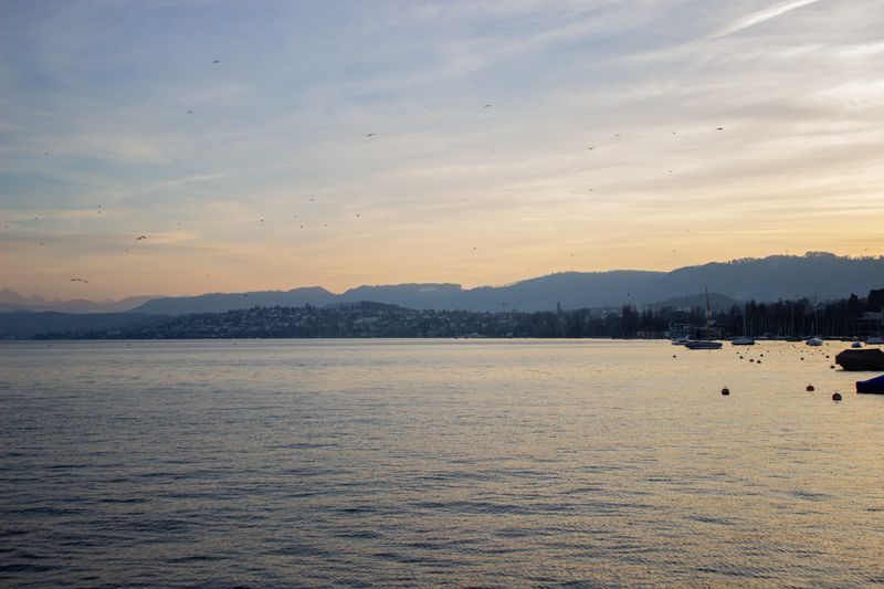 Lake Zurich