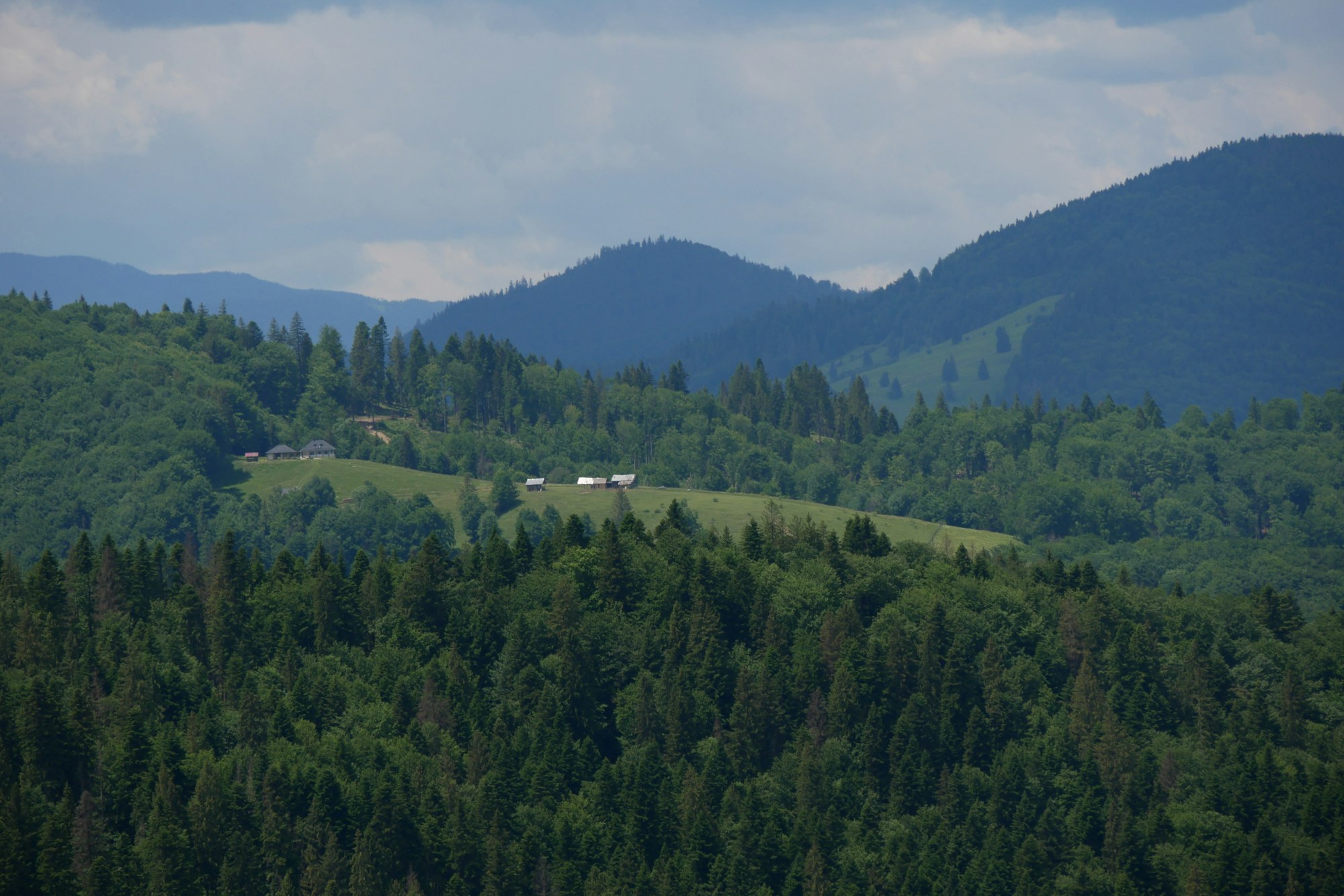 Humor Monastery