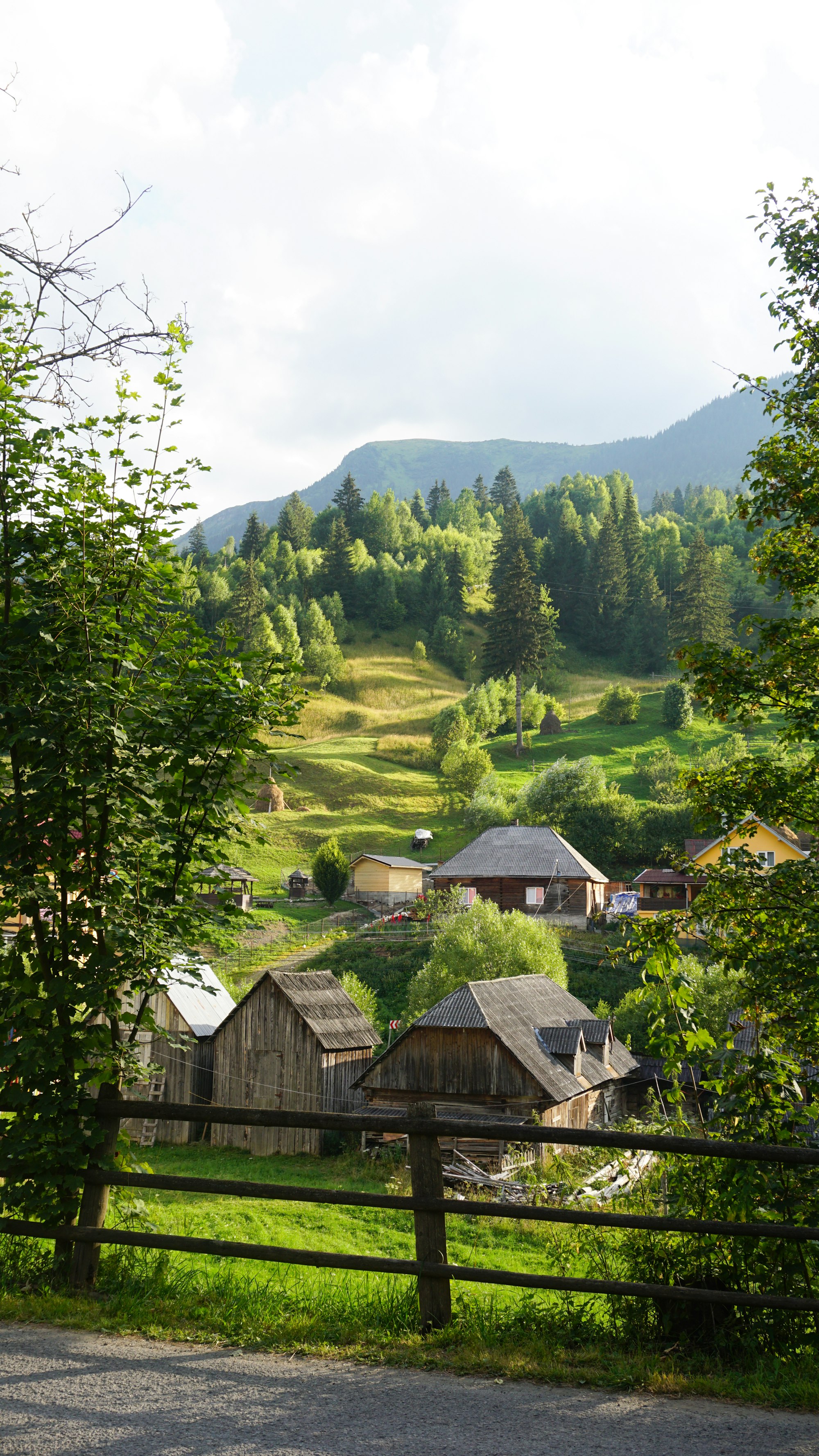 Bucovina Village Museum