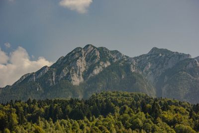 Piatra Craiului National Park
