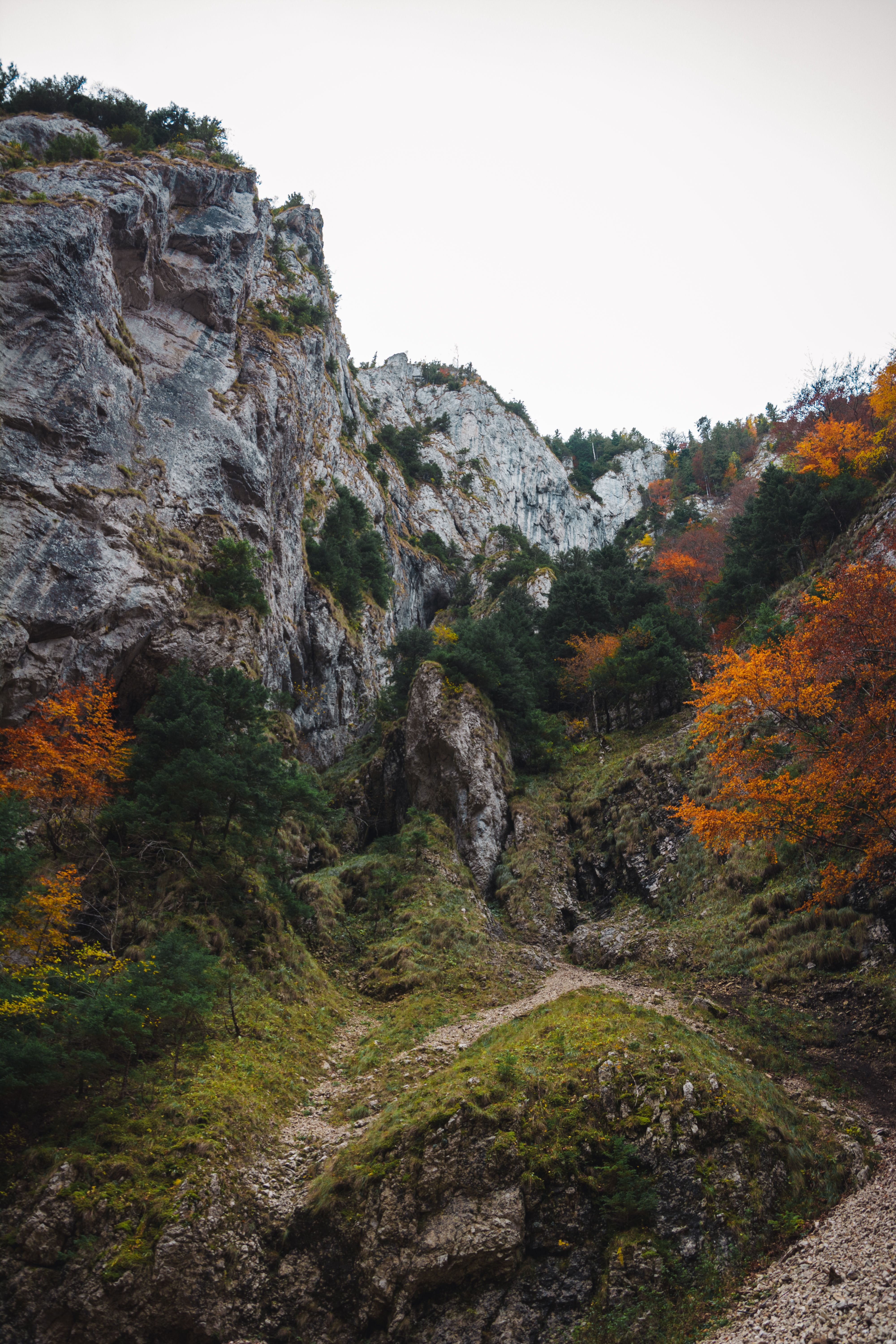 Zărnești, Romania