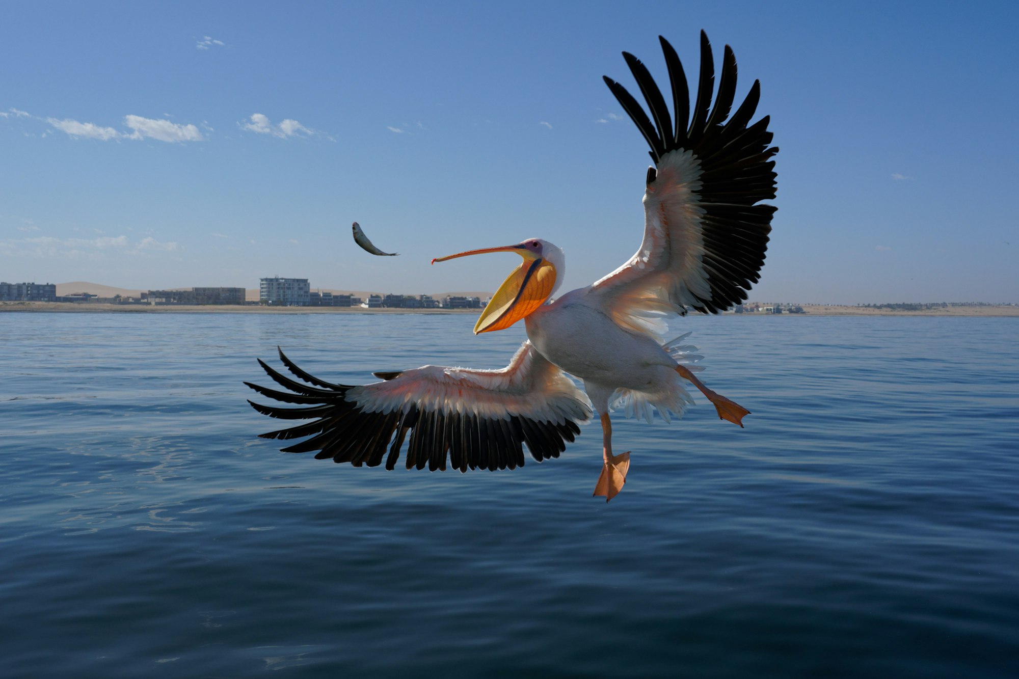 Walvis Bay, Namibia