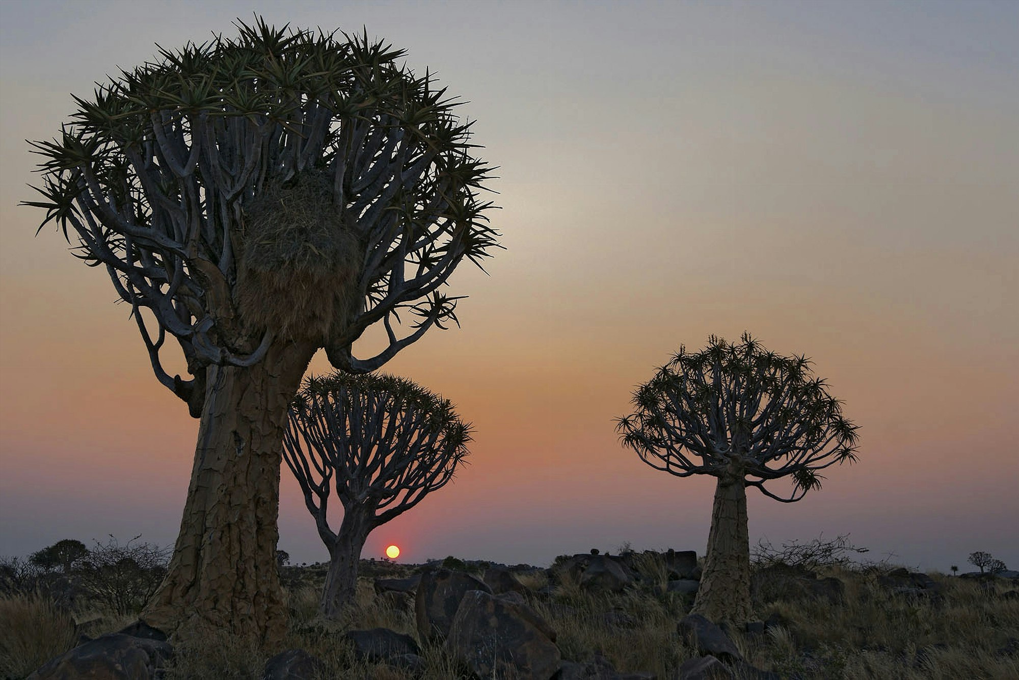 Keetmanshoop, Namibia