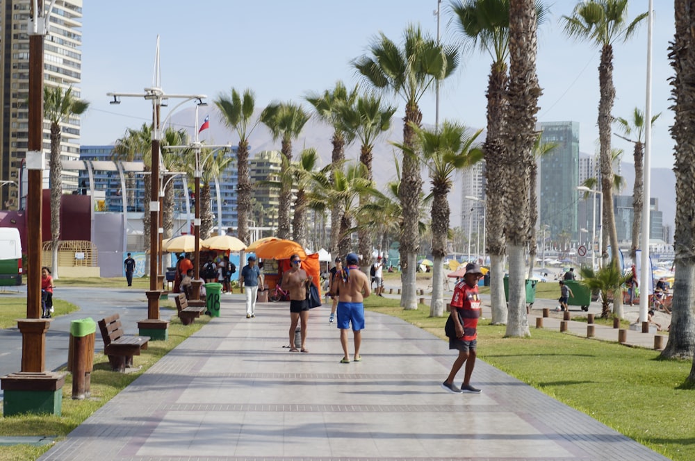 Playa Cavancha