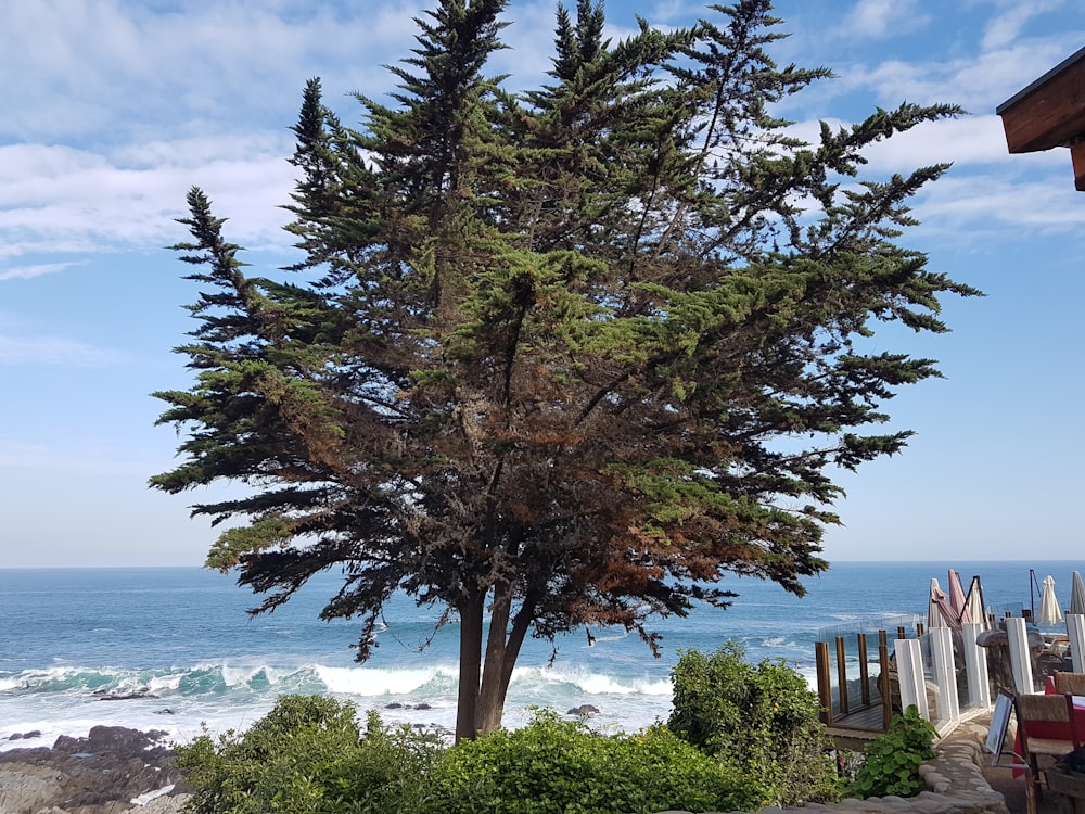 Casa de Isla Negra