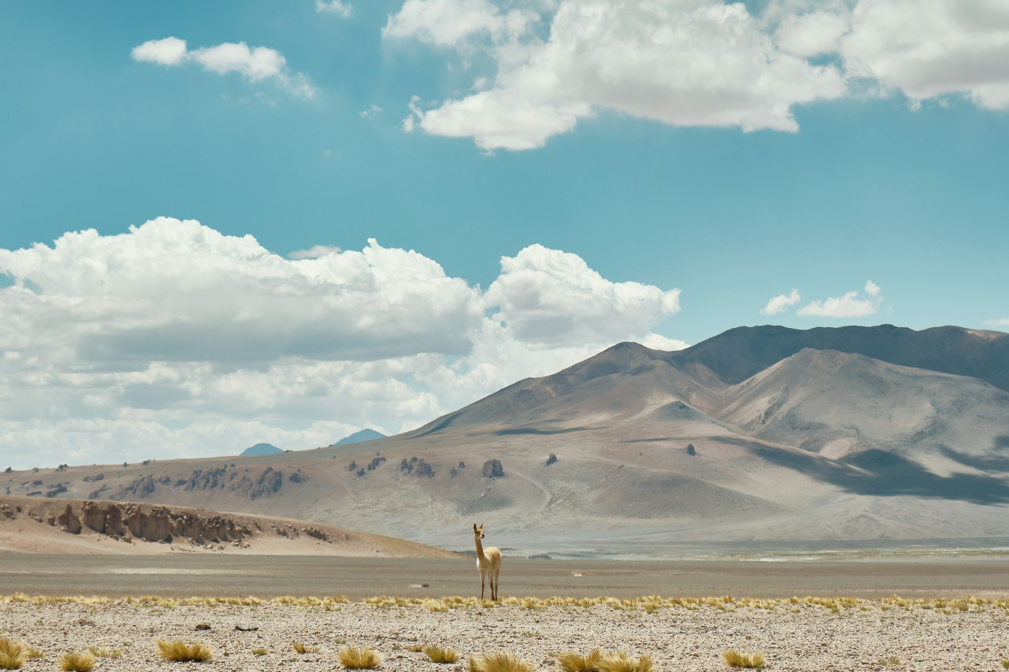 Los Andes