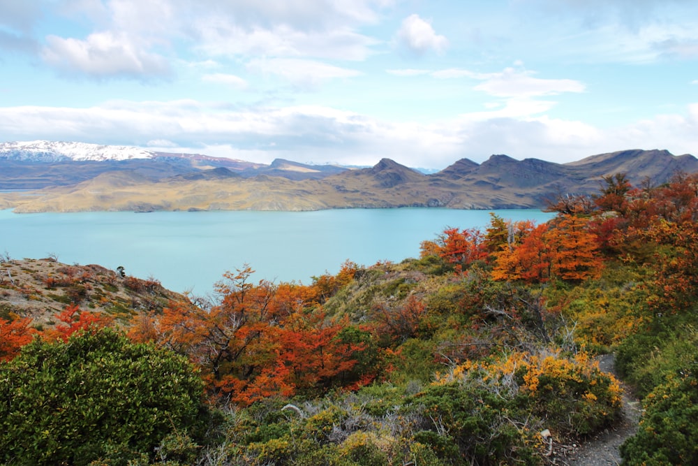 Torres del Paine W Trek