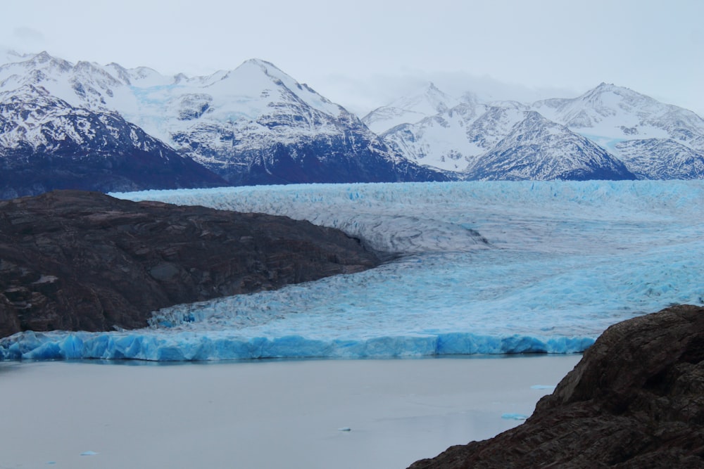 Grey Glacier