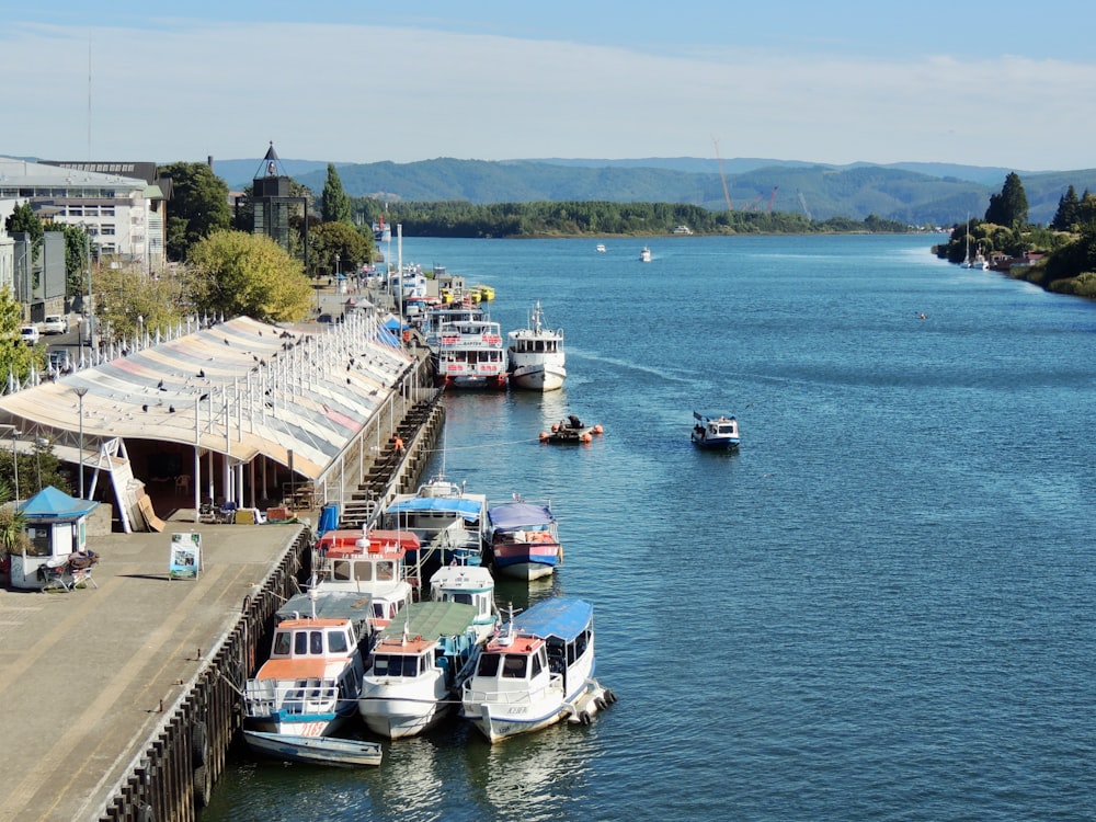 Mercado Fluvial