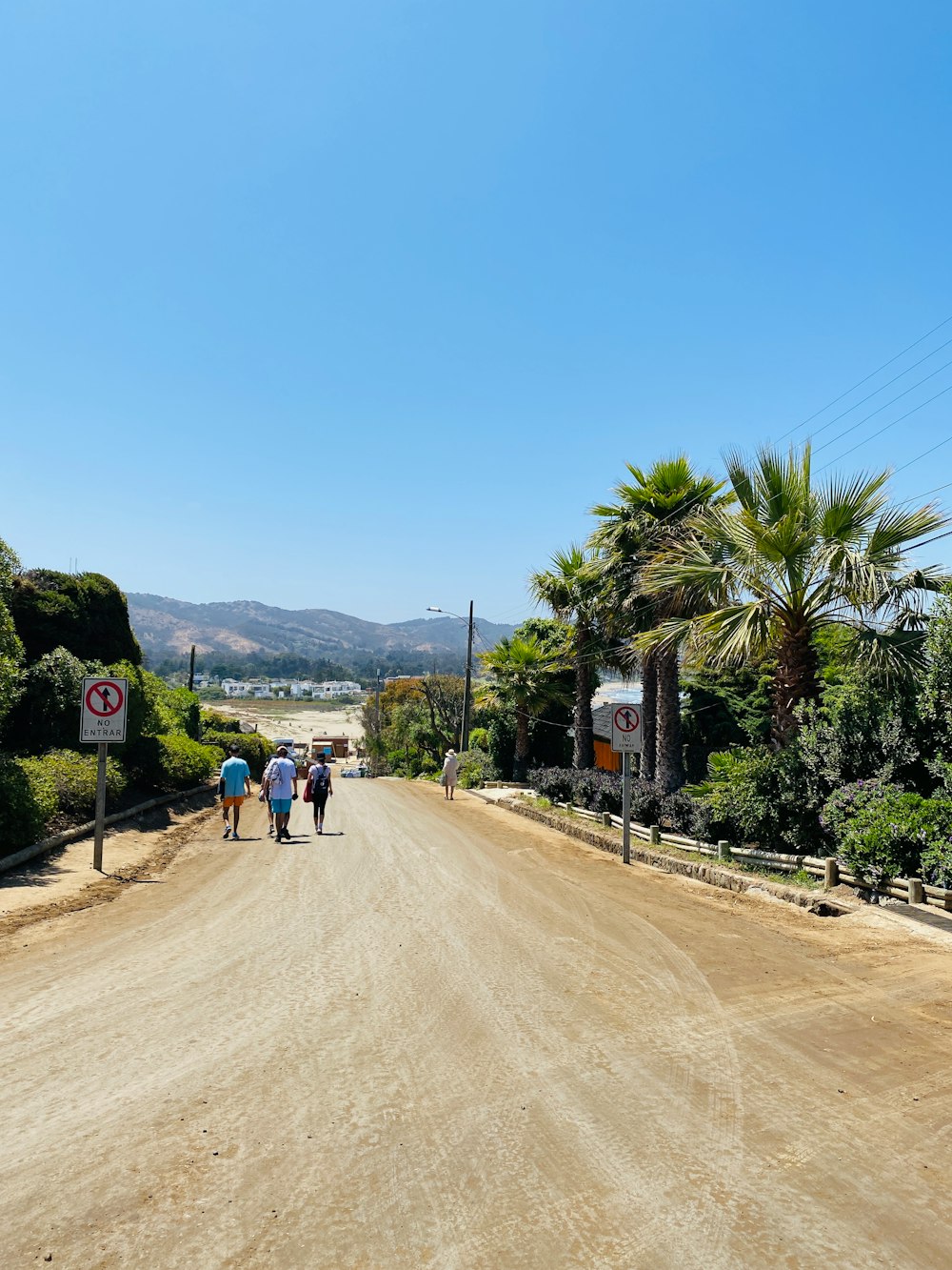 Cachagua