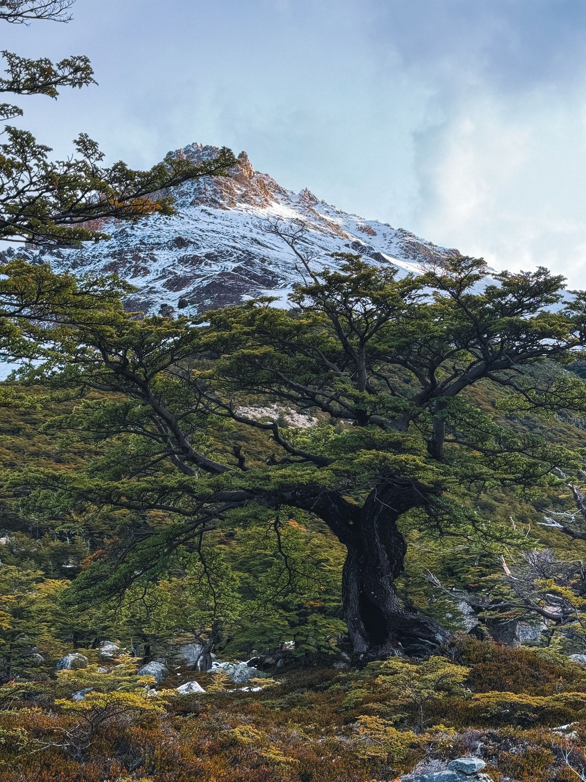 Santa Cruz, Chile