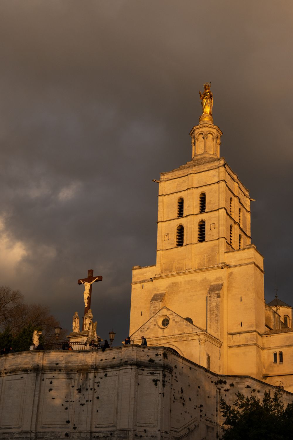 Cathédrale Notre-Dame-des-Doms d'Avignon